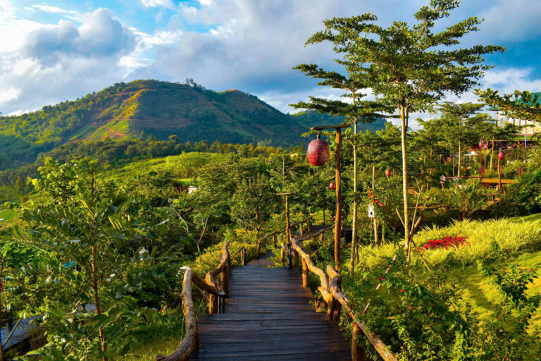 z6790781712823_38ed2d3159780ac89dbf8d7575b33d2f-768x512