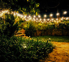 2142b2_b24a2438322a4920b719a8d585ed36fe~mv2