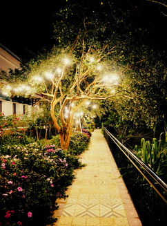 2142b2_c0ad0f0b5ef4448583ea929e0df49342~mv2