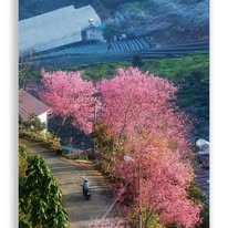 605623850_812715058451305_868242089384349876_n