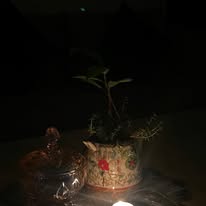 657331242_1450297093555630_8235421614436210998_n