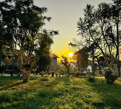 2142b2_9e348fff3379457e969afa718c96d165~mv2