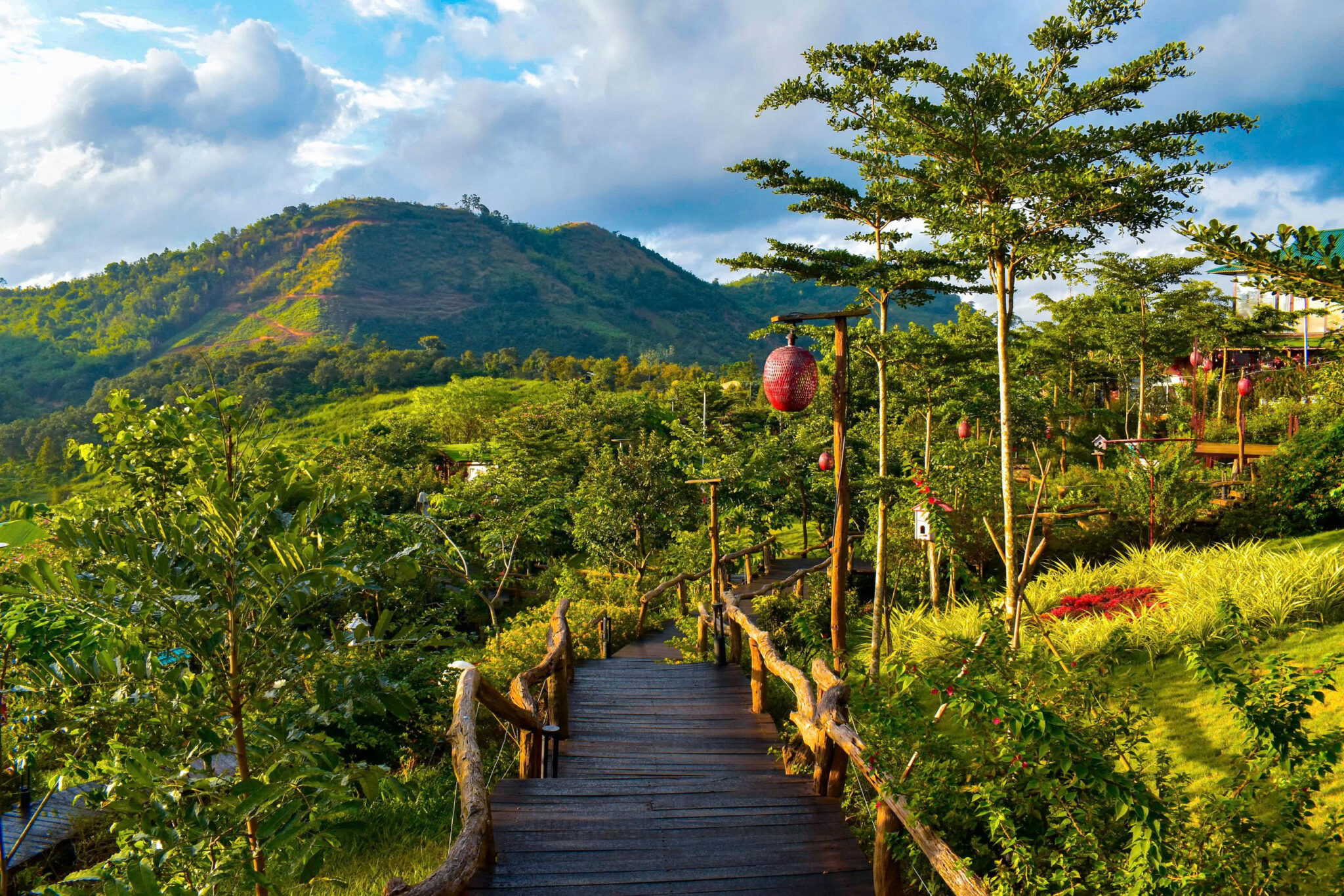 z6790781712823_38ed2d3159780ac89dbf8d7575b33d2f-2048x1366