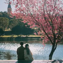 630519146_1515939799967339_2371019042617142406_n